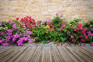 hovenier tuinonderhoud